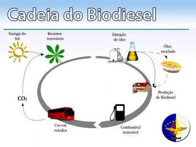 Biodiesel on Projecto  Ciclo Do Biodiesel