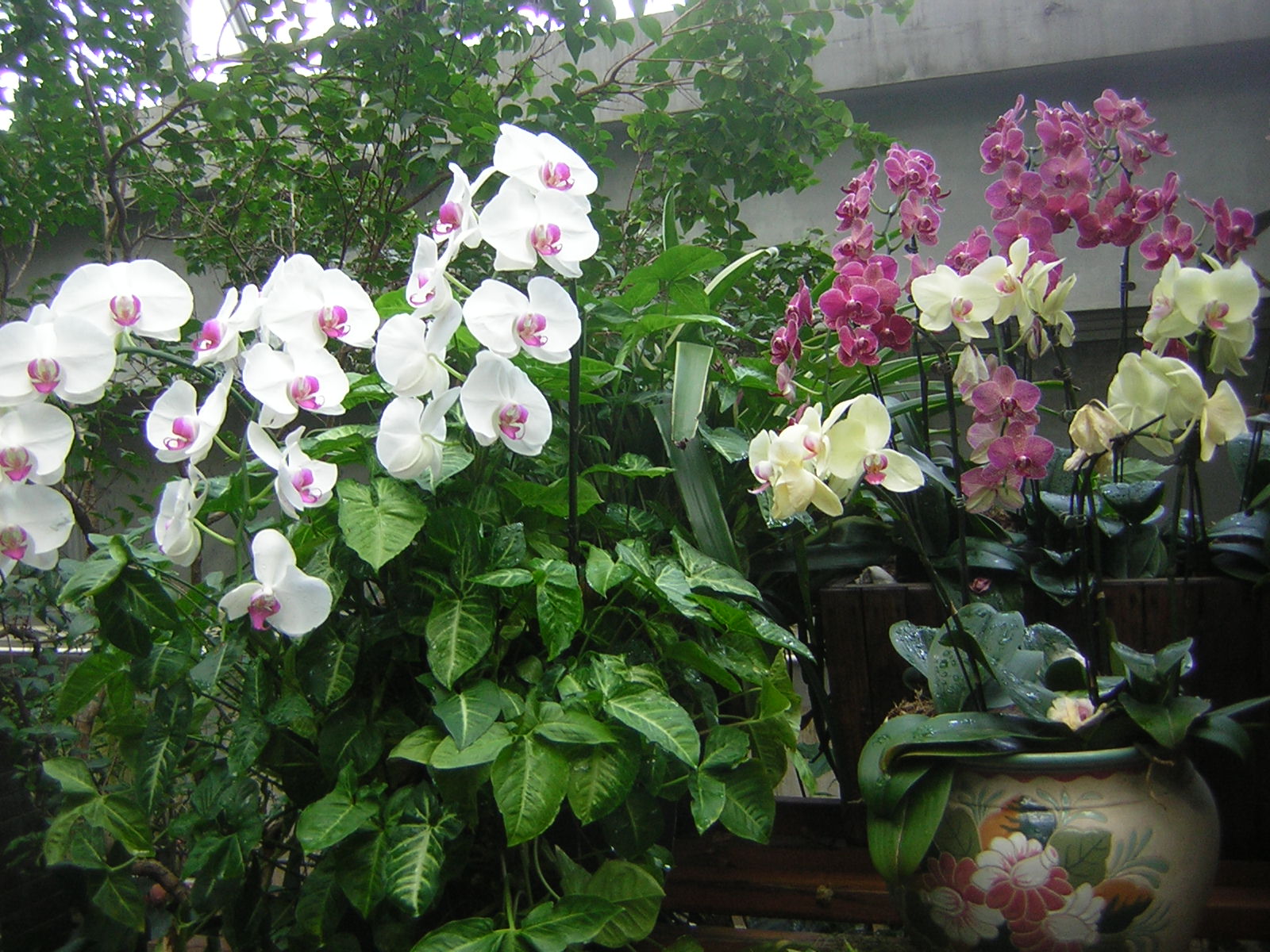 [DSCN0936.JPG]