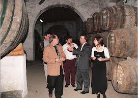 Visita ás Caves do Vinho do Porto - V. N. Gaia em 1995