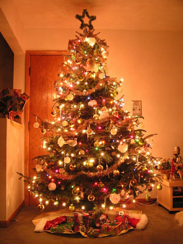 christmas tree designs christmas tree designs