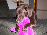 Belle & Barney