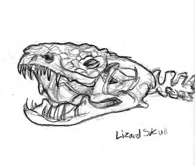 Lizard Skull