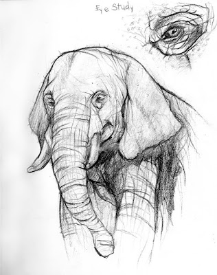 Elephant Head Profile
