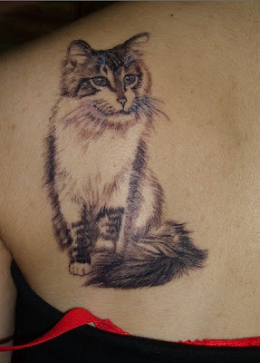 cat tattoo on the back