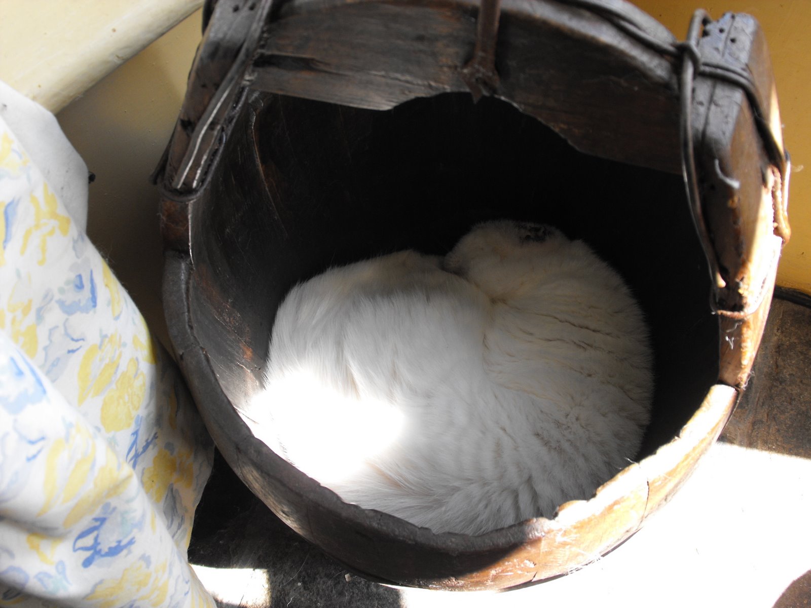 [2009_08045thJuly20070003.JPG]