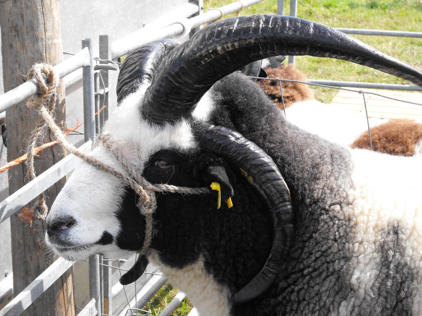 [2009_08085thJuly20070008.JPG]