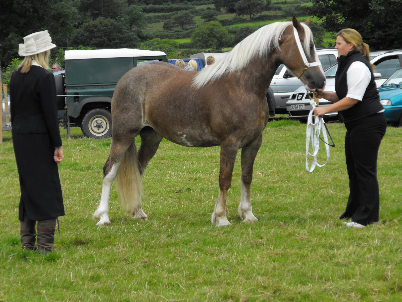 [2009_08085thJuly20070018.JPG]