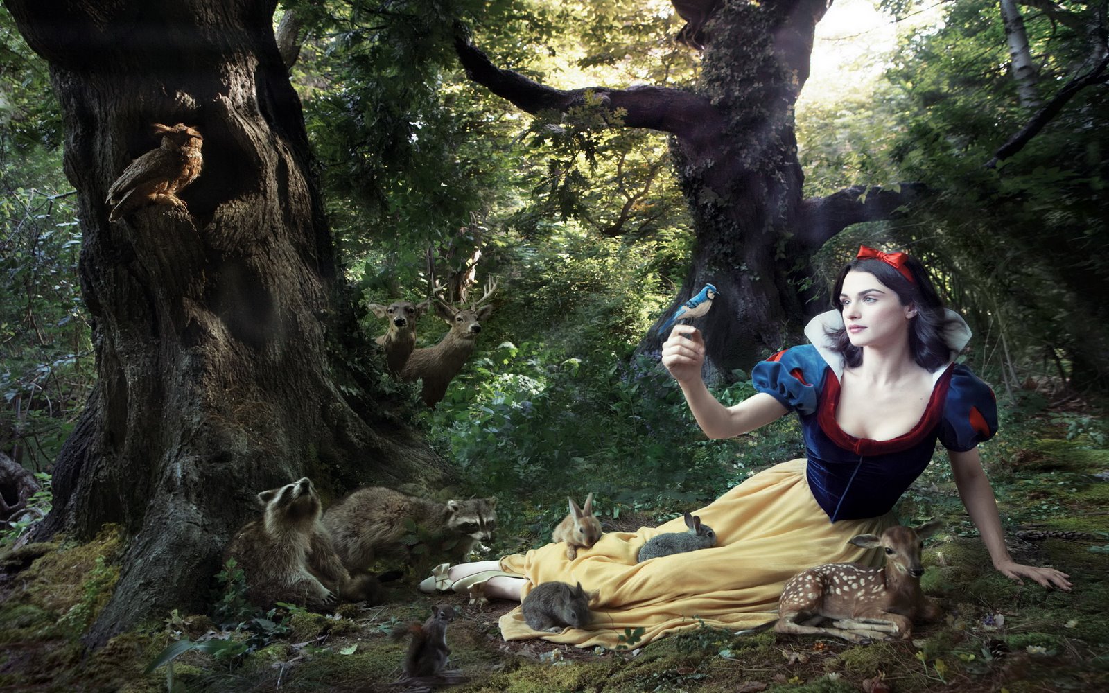 http://4.bp.blogspot.com/_vvDWoG_XX-0/TQn2IqDFsaI/AAAAAAAABGQ/v0A1add2C44/s1600/rachel_weiss_annie_leibovitz.jpg