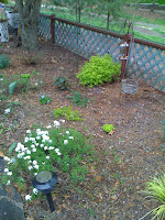 Gardening Like Mad Gardening Like Mad