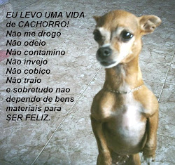 Eu levo uma vida de cachorro