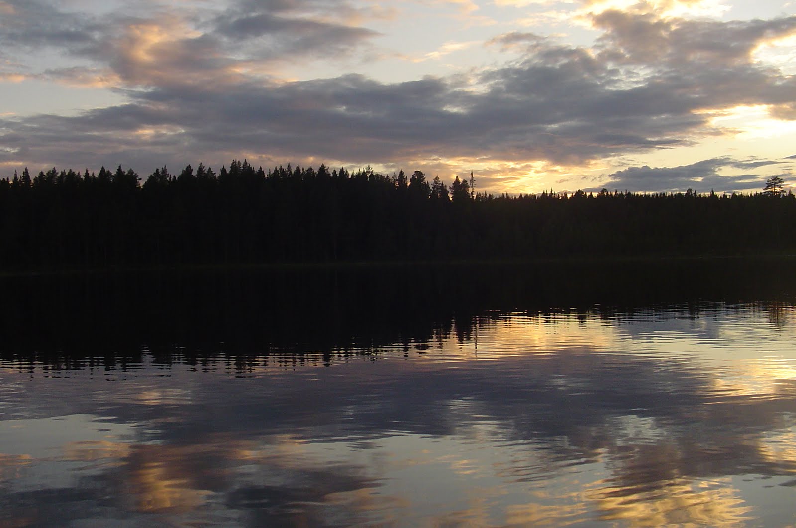 Diario de viajes y otras anotaciones: Desde Estocolmo al Lago Tyrisjön