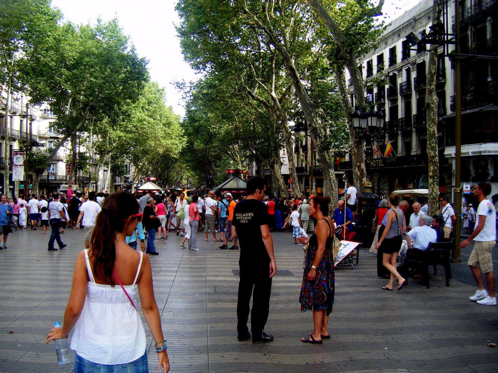 [DSCF0955-1.JPG]