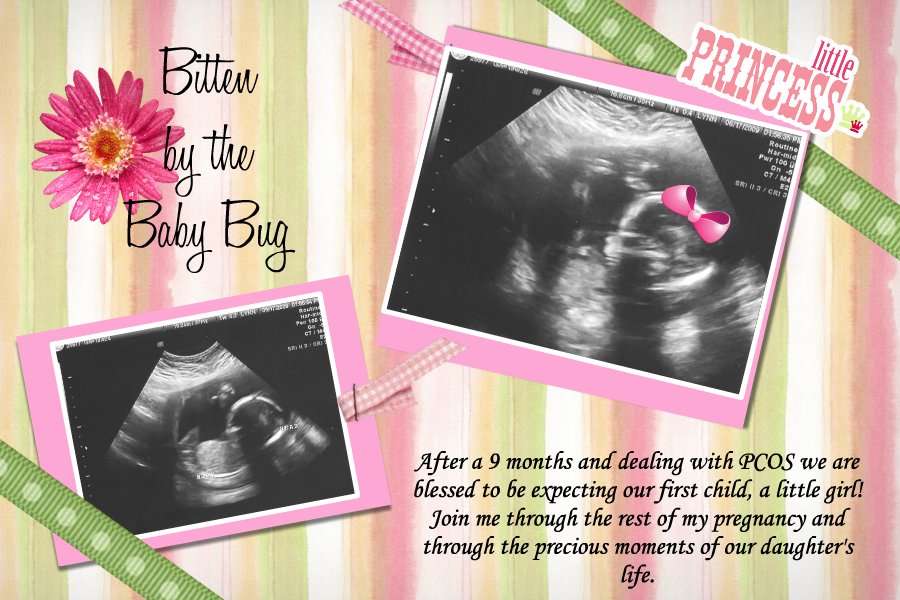 Bitten By The Baby Bug