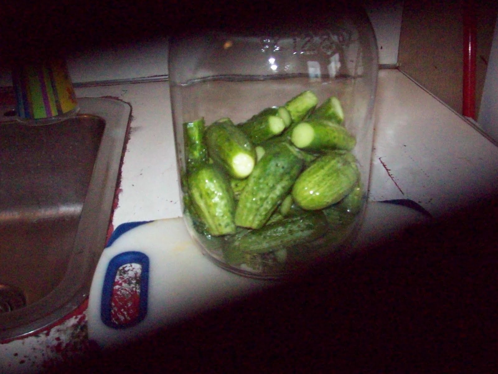 The Urban Trowel Bucket Pickles The Dill Version