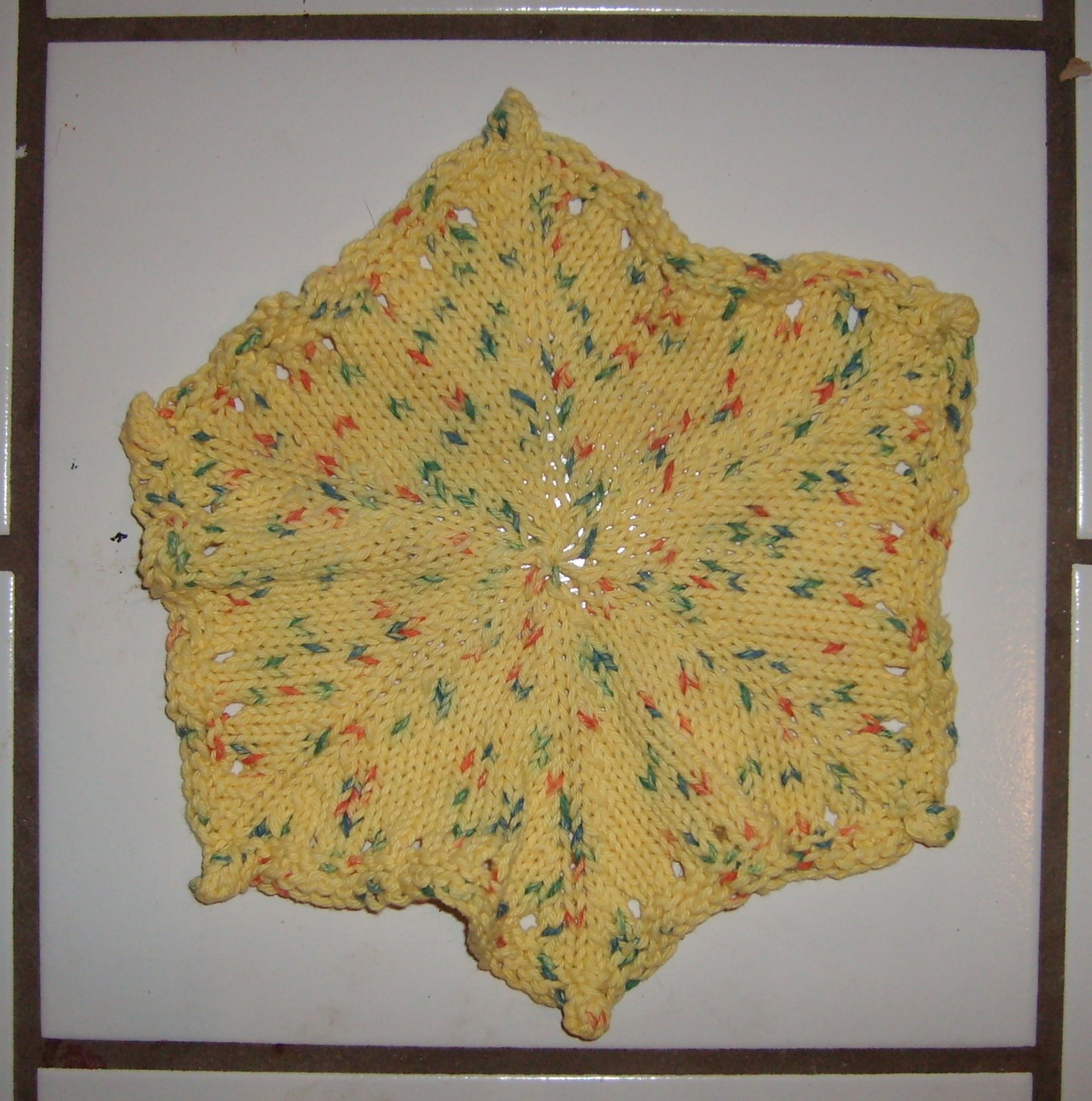 [S5000495.JPG]
