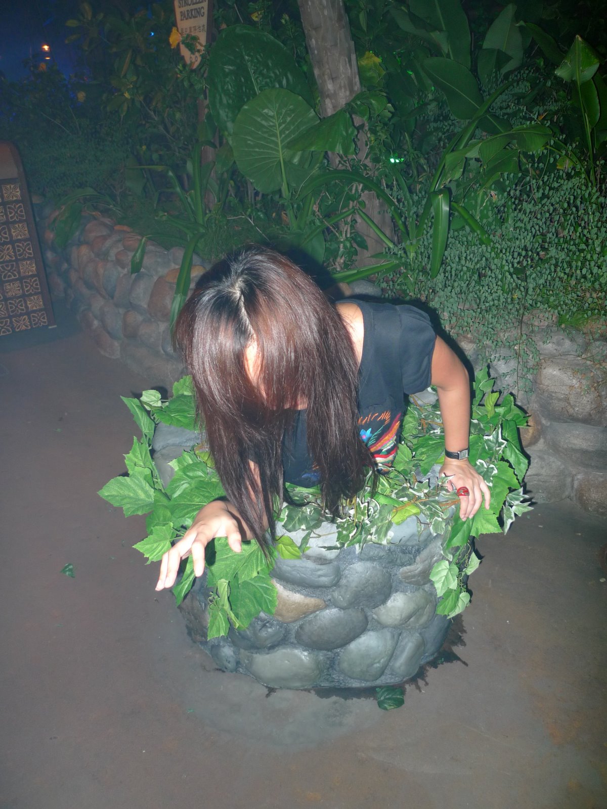 [P1000351.JPG]