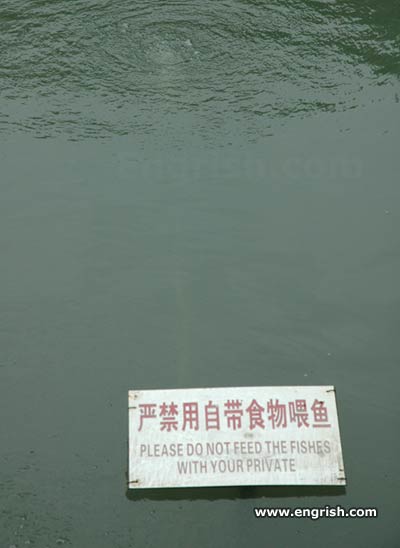 [C3985438.jpg]