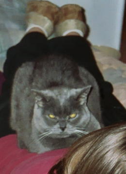 [2004_xmas+(5).JPG]