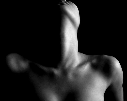 [clavicles.jpg]