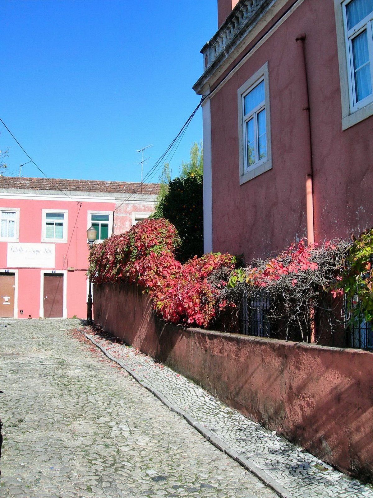 [FSCN6810.JPG]