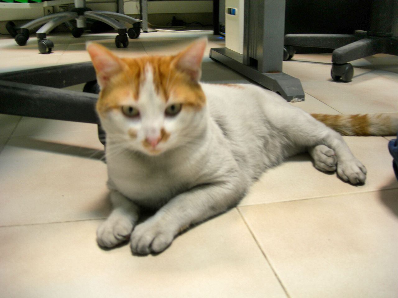 [FSCN8289.JPG]