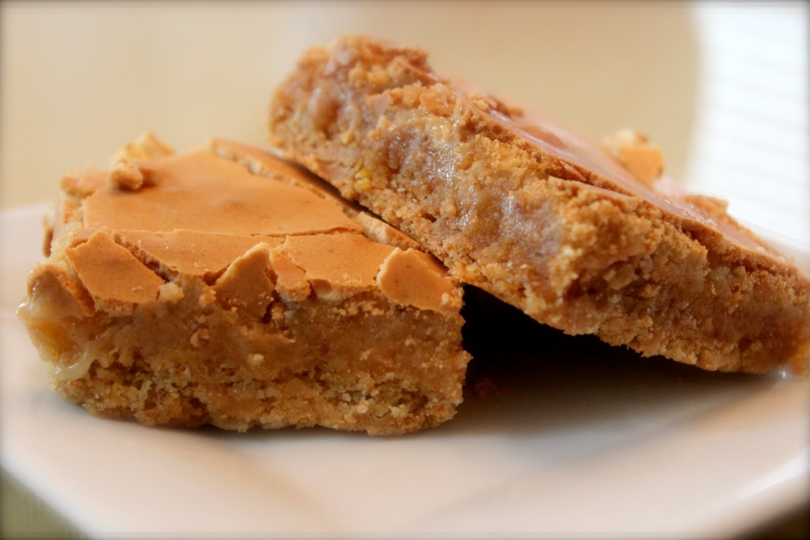 The Tempting Pepper Gooey Toffee Cake Bars