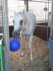 Mizien Playing w/ His New Toy