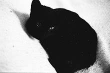 Pergunte ao gato...