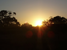 Mara Sunrise