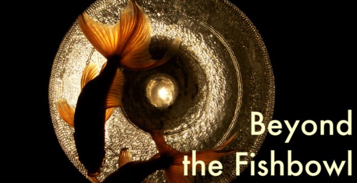 Beyond the Fishbowl