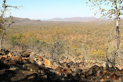 Mokolodi natural reserve
