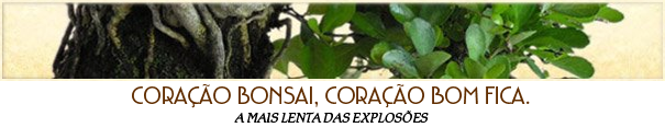 Coração bonsai, coração bom fica.