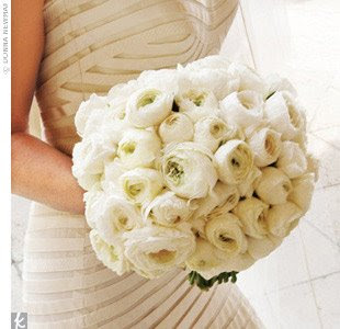 I heart ranunculus!