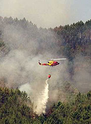 [helicoptero2.jpg]