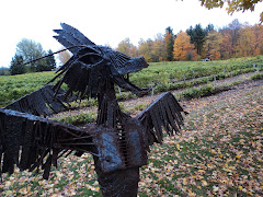 Sculpture garden at Cote d'Ardoise