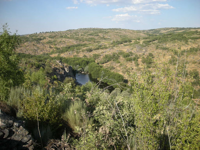 Rio Côa