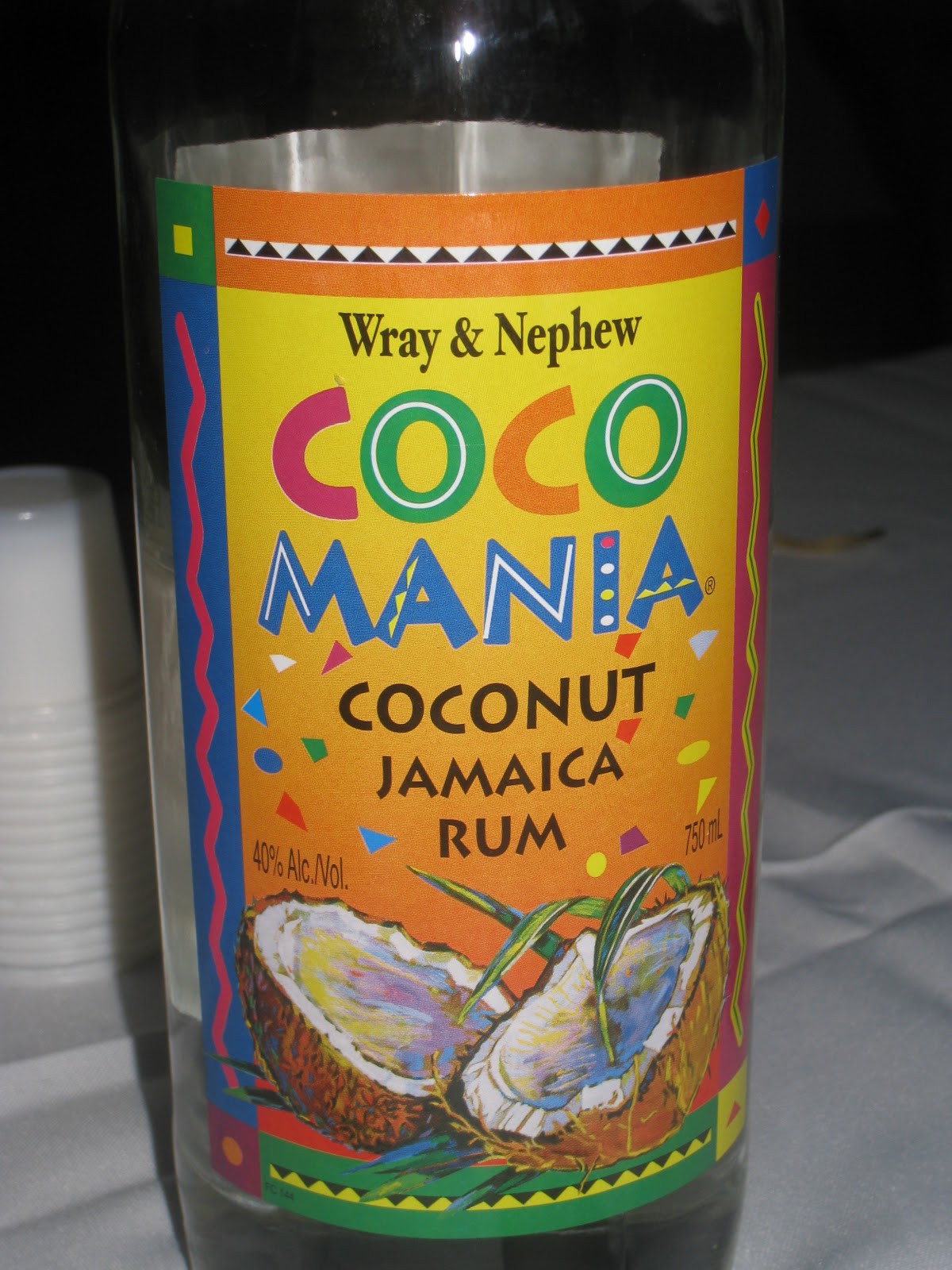 The Young Family Babymoon in Jamaica!