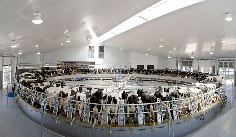 [webcowparlorpan.jpg]