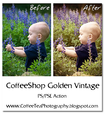 Free Vintage Actions For Photoshop Elements 9
