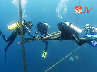 Lagi, Upacara Bendera di Bawah Laut