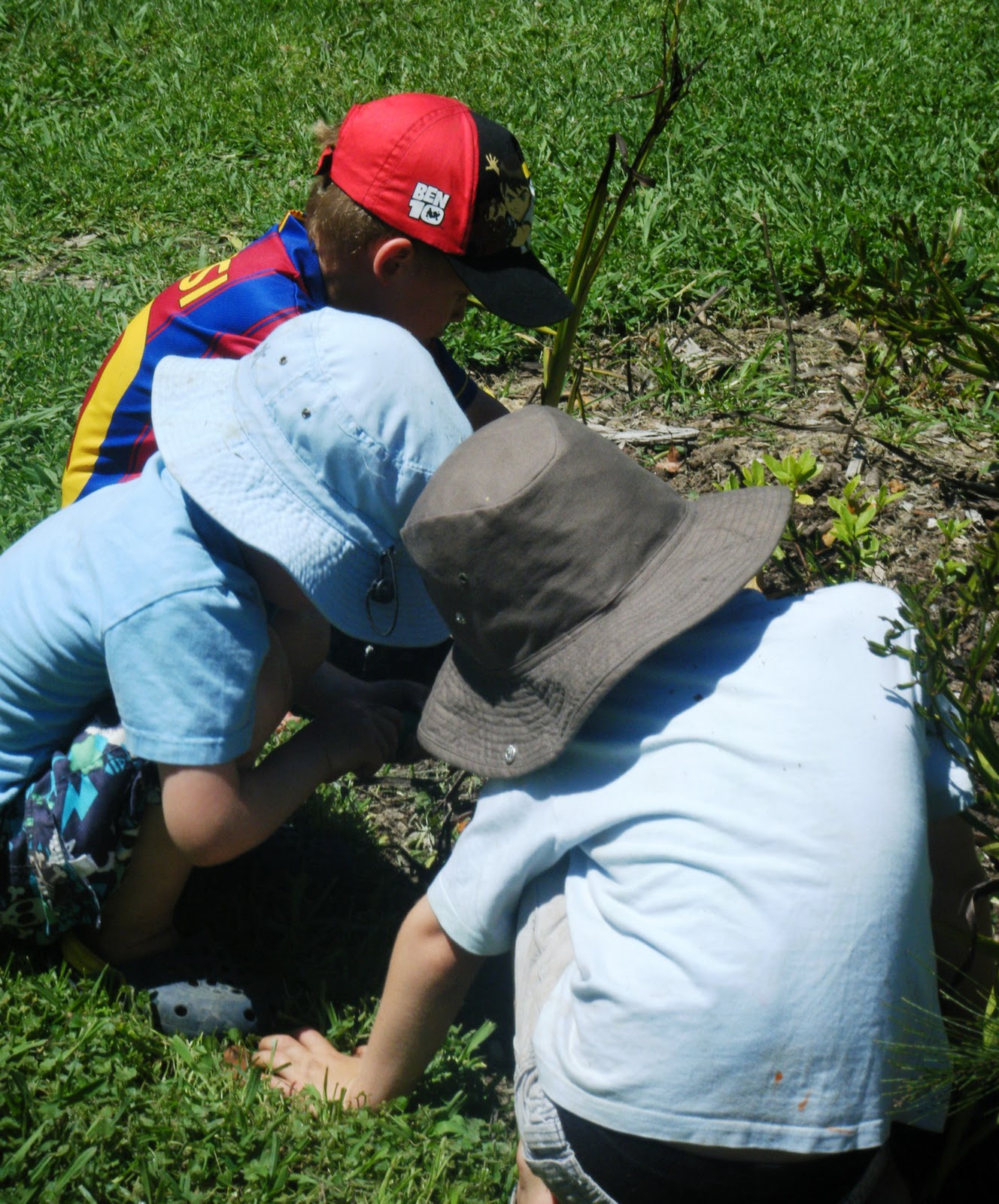 let the children play creating insect habitats for bug mad preschoolers