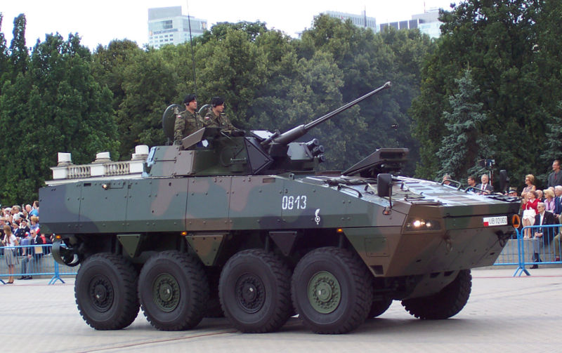 [Patria+AMV.jpg]