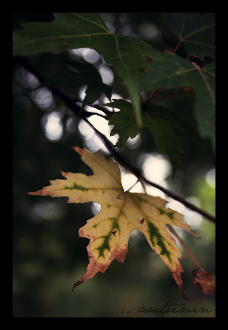 autumn passion