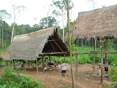 Comunidad nativa uni-pacuyacu