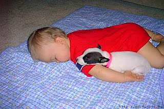 baby and puppy image photo picture