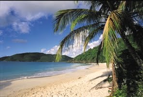 [USVI+Beach+View+-+courtesy+of+USVI+Press+Room.jpg]