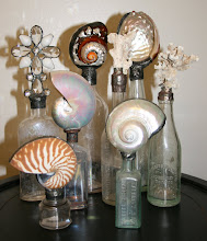 Vintage Shell Bottle Collection & Vintage Coral Bottle Collection