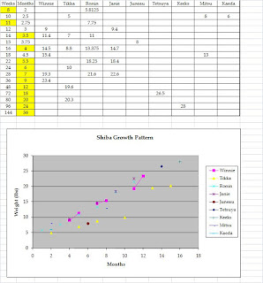 Yorkie [LYNCH191] - $9.75 : Heaven And Earth Designs, cross stitch