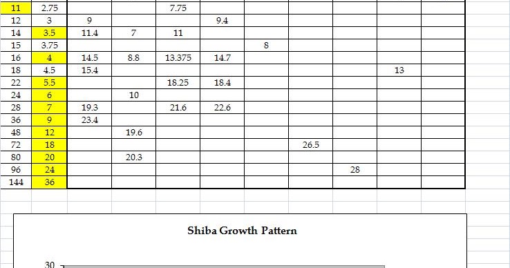 Shiba Inu Growth Chart