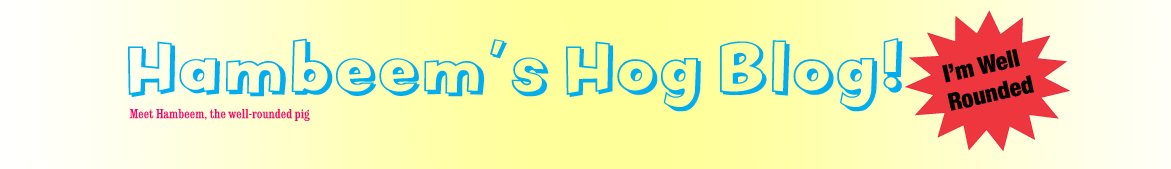 Hambeem's Hog Blog